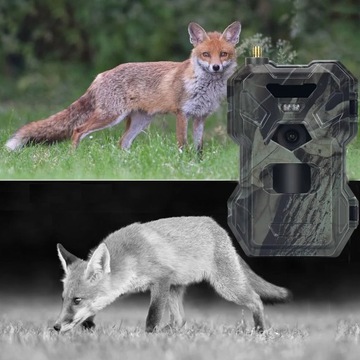 Камера для тропы draVires, камера для лесной охоты, SIM 4G, облако с живым просмотром 4K