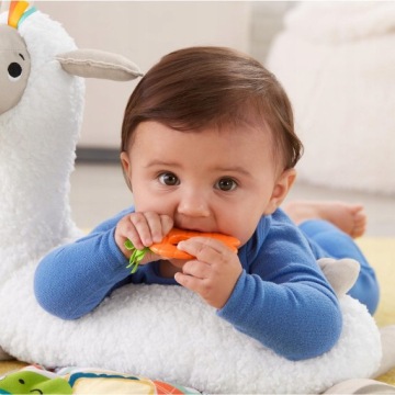 FISHER PRICE ЛАМА РАСТИ СО МНОЙ сенсорный 4в1