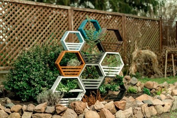 ПОЛКА СОТОВАЯ ШЕСТИГРАННАЯ СОСНА 8 ШТ.