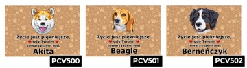 TABLICZKA PCV CIEMNO BRĄZOWY ŻYCIE JEST PIĘKNE CHOW CHOW PREZENT MIX WZORÓW