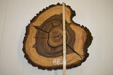 Штукатурка смоляная заливочная 40х45Гр7,5 Орех