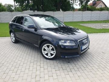Audi A3 8P Hatchback 3d 1.9 TDI 105KM 2008 Audi A3 1.9tdi 105KM Sportback LIFT Raty Zamian, zdjęcie 28