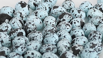 Яйца натуральные пластиковые с крапинками, 3х5см/12 шт.