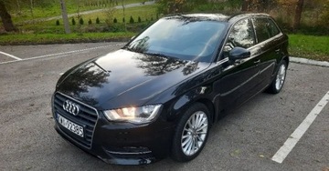 Audi A3 8V Cabriolet 2.0 TDI clean diesel 150KM 2014 Audi A3 Audi A3 III (8V) 2.0TDi 150PS Navi Kli...