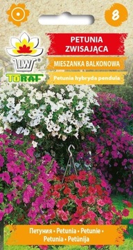 PETUNIA ZWISAJĄCA NA BALKON MIX - Nasiona 0,3g