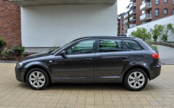 Audi A3 8P Hatchback 3d 1.9 TDI 105KM 2007 Audi A3 Sportback 1,9TDI 2007 r. Bezwypadkowy Panorama 1.9 Diesel 105KM, zdjęcie 1