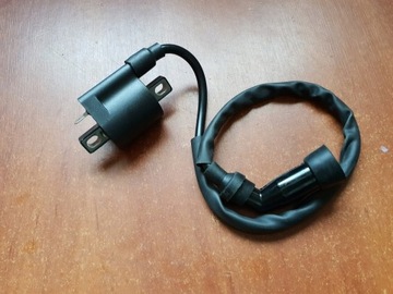 ГАЗ ГАЗ EC250 EC 250 ВН КАТУШКА ЗАЖИГАНИЯ + ШПИЛЬ