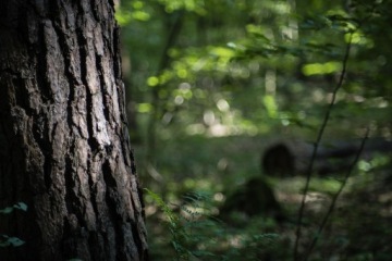 Супер Такумар 85 1,9