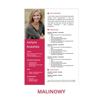 Редактируемый шаблон резюме в MS Word 1/22/CV