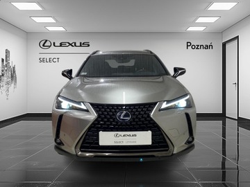 Lexus UX Crossover 250h 184KM 2022 Lexus UX 250h GPF F Impression 2WD, zdjęcie 5