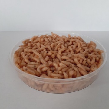 БЕЛЫЙ ЧЕРВЬ ОП. 100мл