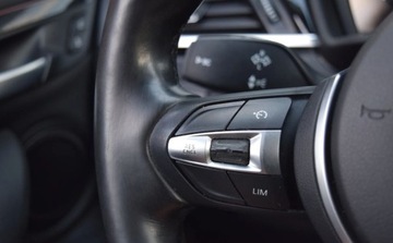 BMW X1 F48 Crossover xDrive25d 231KM 2018 BMW X1 2.0 D 231 PS xDrive Model Sport Line Ledy Edition Executive 2.0, zdjęcie 22