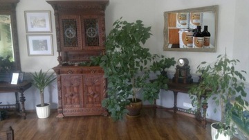 Wosk twardy antyk LARO 319 konserwacja na antyki