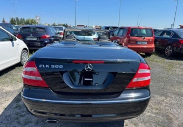 Mercedes CLK W209 Cabrio A209 5.0 V8 (500) 306KM 2003 Mercedes-Benz CLK Mercedes-Benz CLK 500 Avantgarde 5.0 Benzyna 306KM, zdjęcie 7