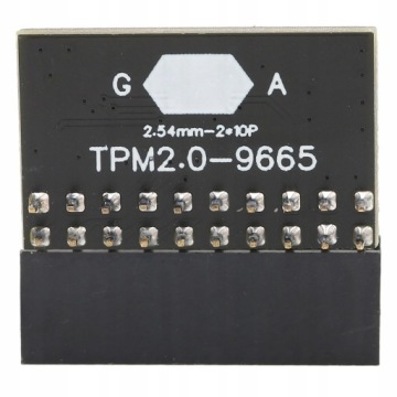 МОДУЛЬ TPM 2.0 GA 20PIN ДЛЯ WINDOWS 11 ДЛЯ ПЛАТФОРМЫ GIGABYTE/ASUS GIGABYTE