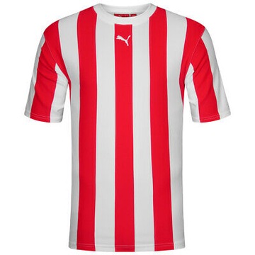 H6436 MĘSKI T-SHIRT KOSZULKA SPORTOWA PUMA UK XL