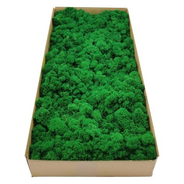 Финский мох 500г нетто