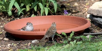 TERRA POD29 подставка для цветочного горшка терракотовая