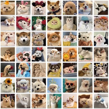 Наборы наклеек Kawaii Animal Cat Dog, 100 шт.