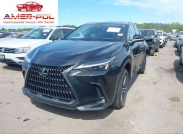 Lexus NX II 2023 Lexus NX 250 2023 2.5 Benzyna 203KM