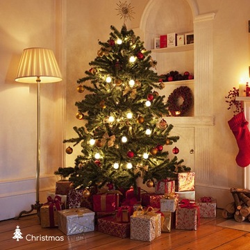 Girlanda ogrodowa 10 ciepłych mlecznych kul sznur 5m zasilana z sieci