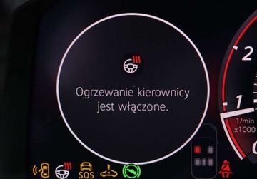 Volkswagen Golf VIII 2025 Volkswagen Golf LED Matrix, Climatronic, pakiet zimowy, dostepny od reki, zdjęcie 19