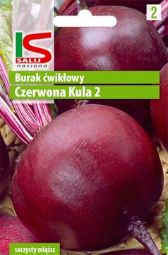 Burak ćwikłowy CZERWONA KULA 10g SALNAS nasiona !