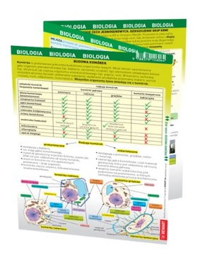 Biologia. Maxi ściąga