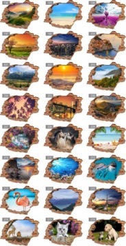 ЖИВОТНЫЕ Собаки Кошки Выбор 3D наклеек на стену