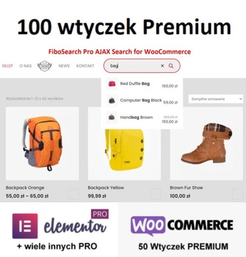 Wtyczka FiboSearch Pro AJAX Search for WooCommerce