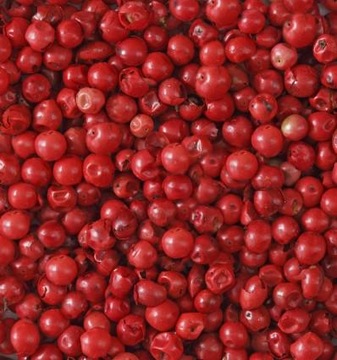 Мужской парфюм Yodeyma CARIBBEAN Man Eau De Parfum 100мл