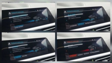 BMW Seria 3 G20-G21 Limuzyna 2.0 330e 292KM 2020 BMW Seria 3 Sport Line___330e XtraBoost 292KM LED Skora Kamera360__Pelna H, zdjęcie 15