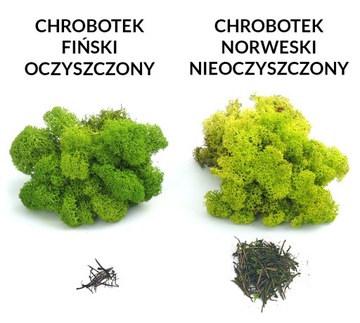 Крабовый мох Светло-Зеленый 500г
