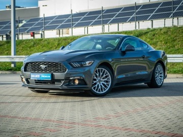 Ford Mustang 2.3 Ecoboost, Salon Polska