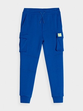 СПОРТИВНЫЕ БРЮКИ ДЛЯ МАЛЬЧИКОВ 4F, ХЛОПОК, AW23M415