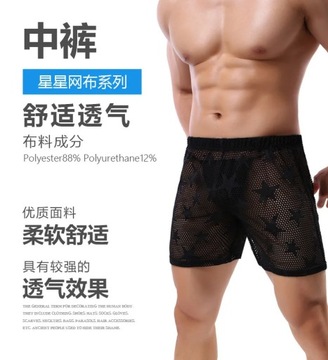 Men's Mesh Shorts Quick-Dry Short Pants Leggings H