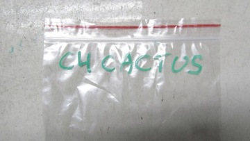 CITROEN C4 CACTUS ZNAK ZNAKY LOGO 9802772577