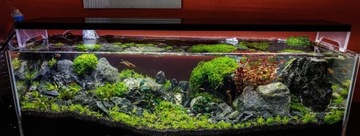 ЧЕРНАЯ КРУШКА 2-5 мм АКВАРИУМНЫЙ СУБСТРАТ 25 кг