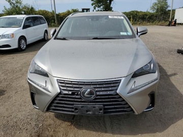 Lexus NX II 2021 Lexus NX 300 Base 2021 2.0l 2.0 Benzyna 235KM, zdjęcie 5