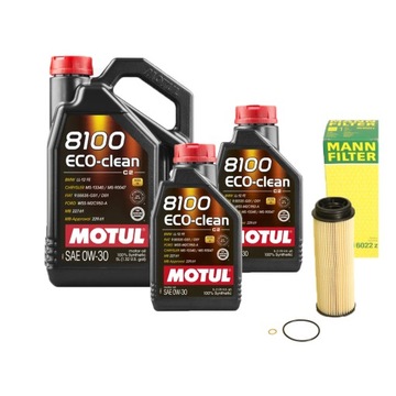 Olej Motul 0w30 Filtr do BMW X5 X4 X3 30d Mild Hybrid xDrive G05 G02 G01