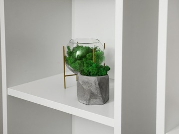 Moss Refier Bropotek 500G зеленая трава трава