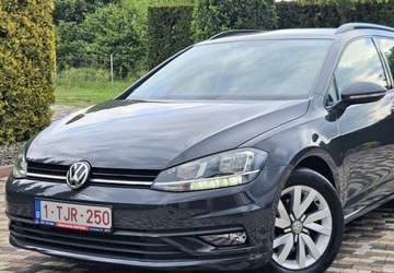Volkswagen Golf VIII Hatchback 2.0 TDI SCR 115KM 2019 Volkswagen Golf Niski przebieg 88 tys,1.6 Diesel, Faktura,Polecam 2.0, zdjęcie 12