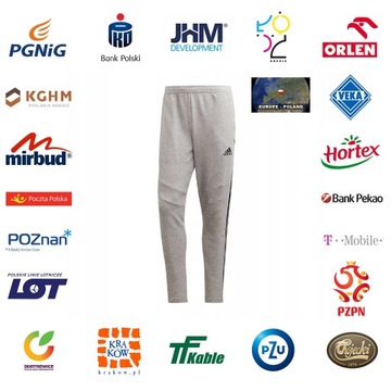 Spodnie męskie adidas Tiro 19 French Terry Pant