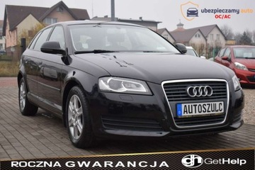 Audi A3 8P Hatchback 3d 1.6 TDI 105KM 2009