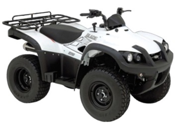 OŚ OŚKA WAHACZA TYŁ TYLNA Quad TGB BLADE 250/325cc