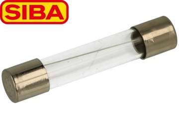 10x BEZPIECZNIK zwłoczny WTA-T 6,3x32mm 12,5A