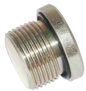 VSM24WD Korek z uszczelką M24x1.5
