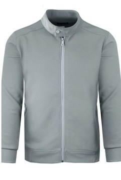 BLUZA MĘSKA REPABLO 2403-4, SZARY R. L (50)