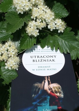 ПОТЕРЯННЫЙ БЛИЗНЕЦ