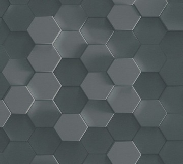 tapeta zmywalna pokój przedpokój geometria czarna